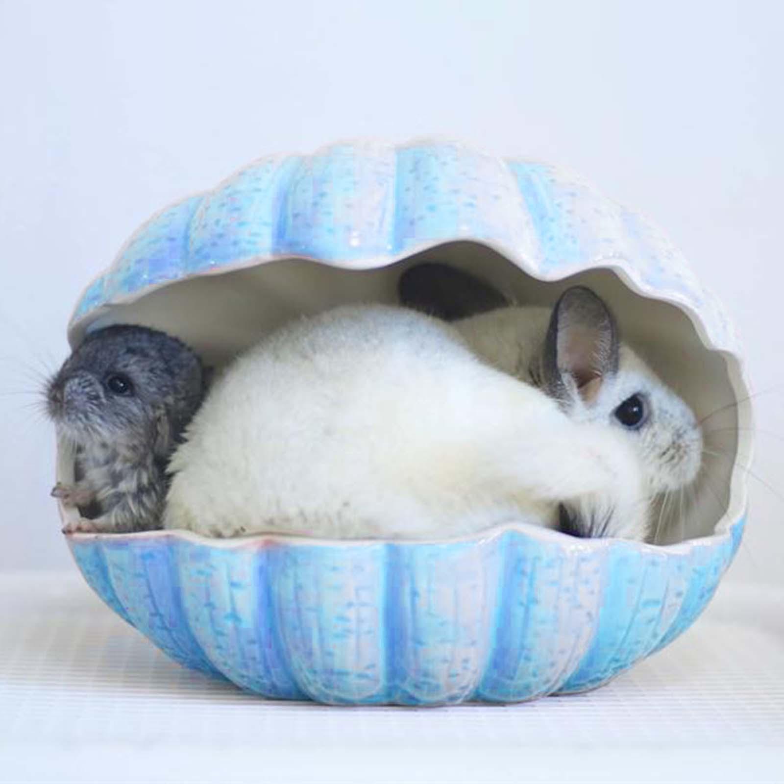 Chinchilla Cave Bed Hamster Ceramic Nest Ceramic Habitat Decor Shell Shaped