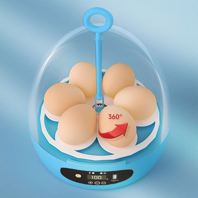 Mini incubatrice per uova automatica Egg Candler Egg Turner controllo della  temperatura schiusa Hatcher Machine per anatra uccelli pollo piccione -  AliExpress