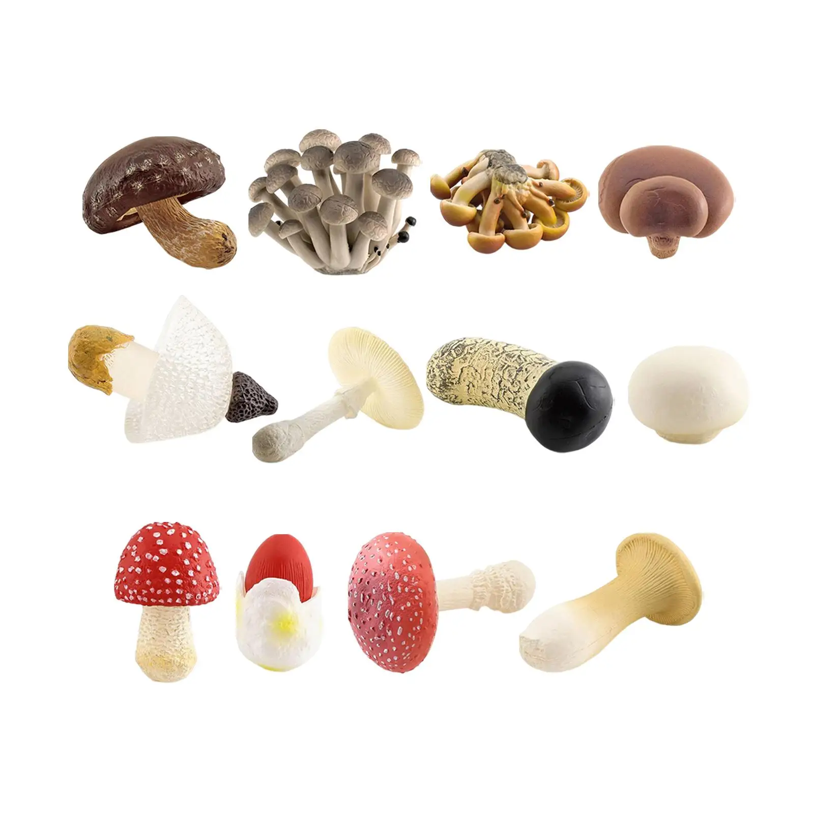 4 Pcs Mushroom Model Development Toys Collectible Decorations Educational