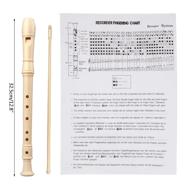 SET DI STRUMENTI per pulizia flauto torta in plastica conservazione  clarinetto kit strumenti in tessuto EUR 8,07 - PicClick IT