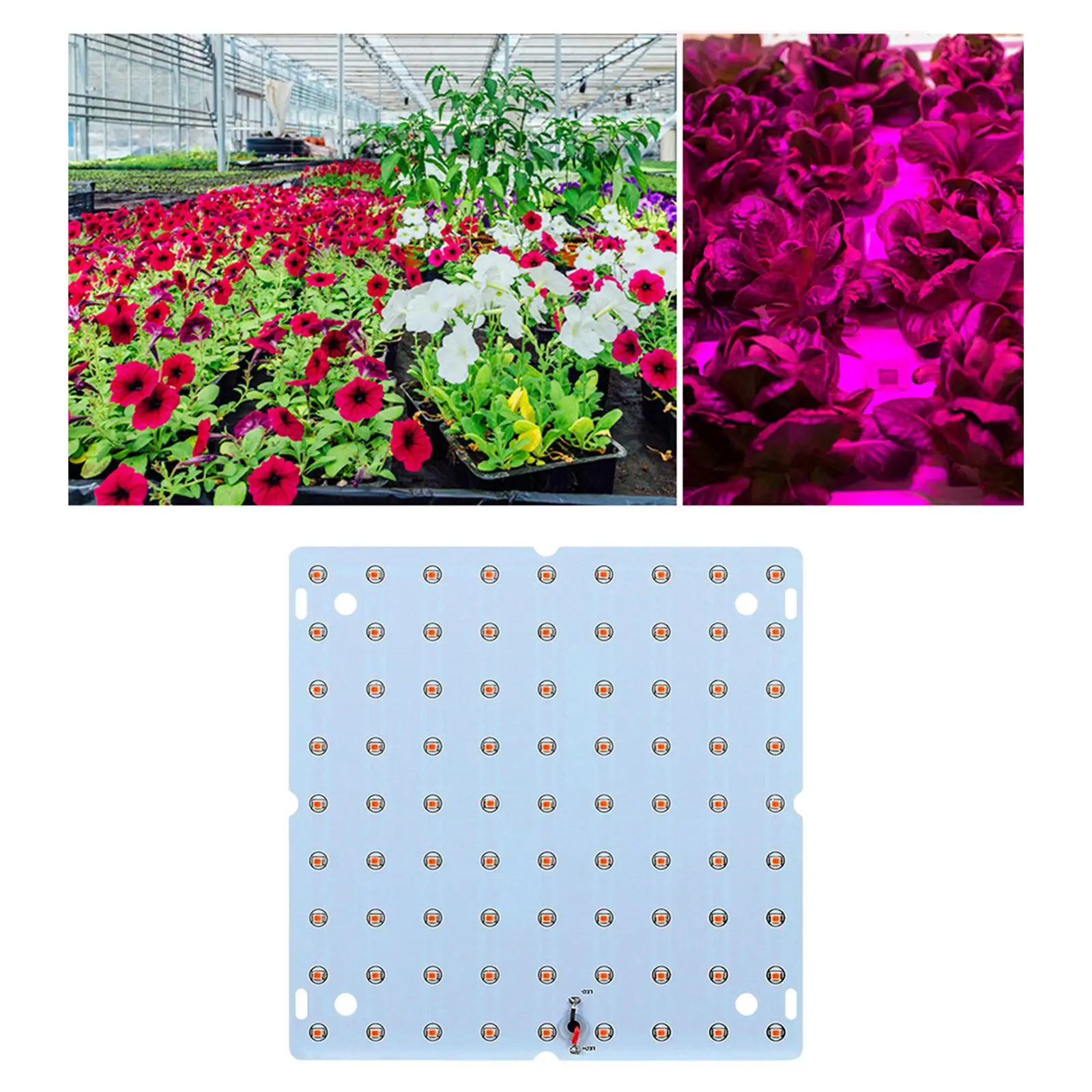 85-265V LED Grow Light Panel Full Grow Light for Vegetable Bloom Hydroponics Flower Seed Starting Greenhouse
