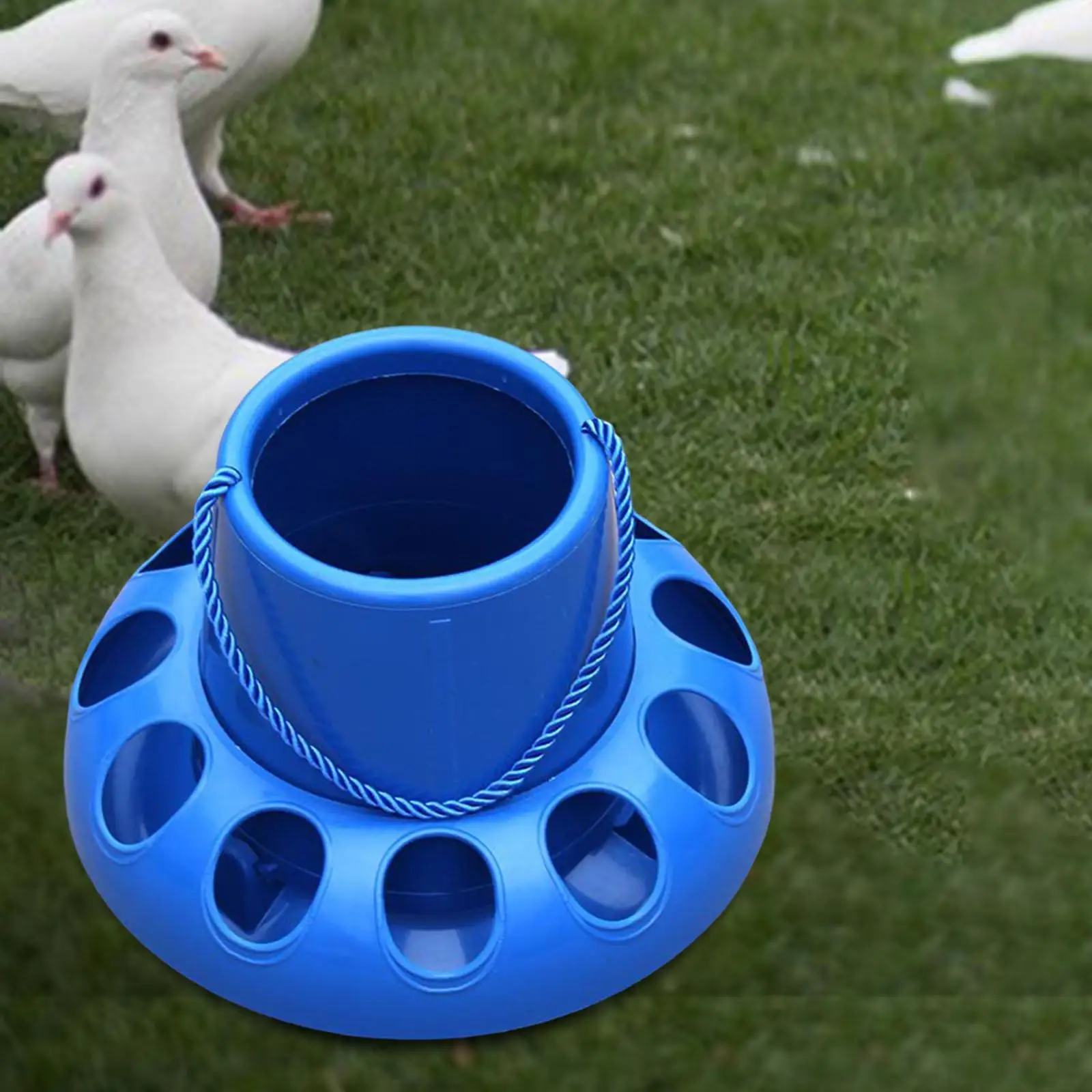 Chicken Feeder Automatic Bird Feeding Bucket Bowl Backyard for Geese Quail