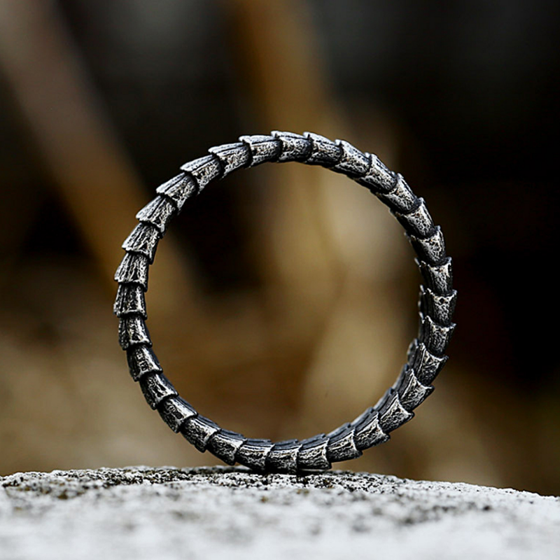 Vintage einfache Edelstahl Drachens chuppen ringe Punk Hip Hop Mode Tierring für Männer Frauen Amulett Schmuck Geschenke Großhandel – Detail 6