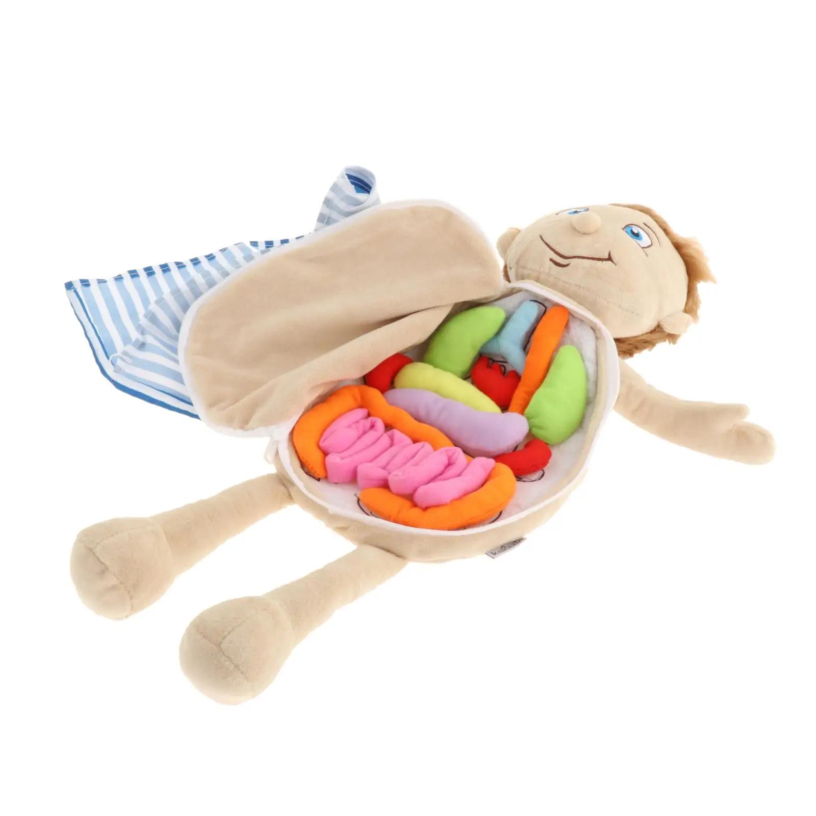 3D Organ Doll, Anatomy Doll Human Body Organs Awareness Educational Tool Toy Play Doctor Set for Home Preschool Teaching Aid