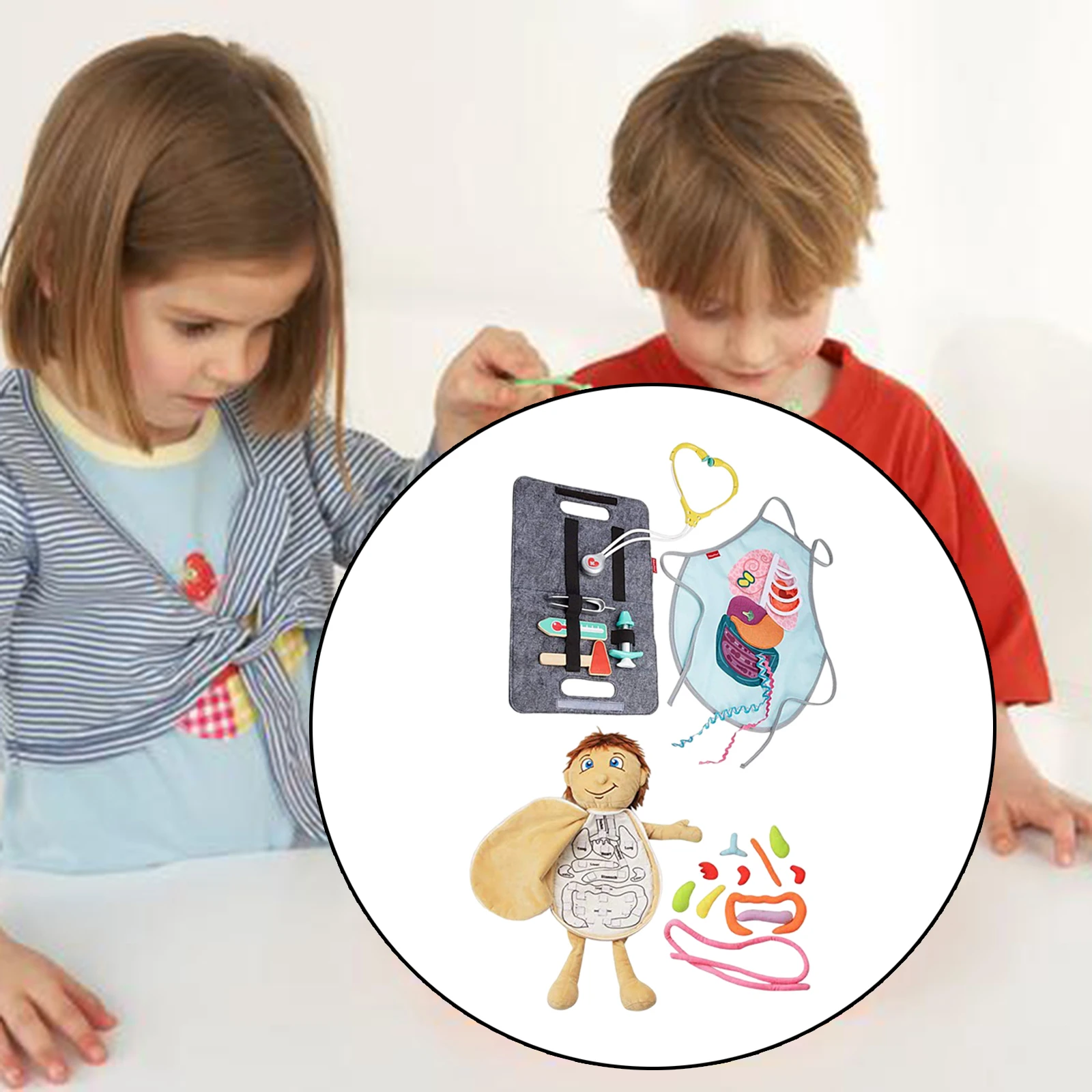 Organ Toy Set Multicolor Removable Educational Tool Kids Anatomy Toys Organs Awareness Toys for The First