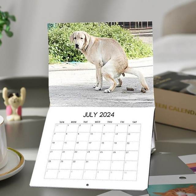 Calendário de parede 2023 - calendário de parede memes animais 2023-2024 de  janeiro de 2023 a junho de 2024, presentes engraçados de calendário, 30,48  x 60,96 cm (aberto), 30,48 cm x 30,48