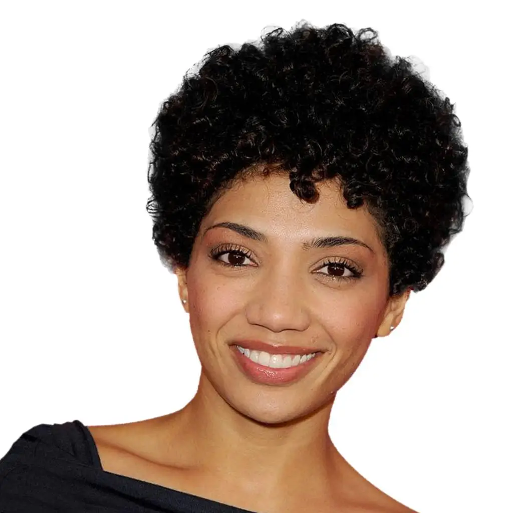 Human Hair Afro Kinky Curly Short Black Wig Women`s Natural Party Wigs