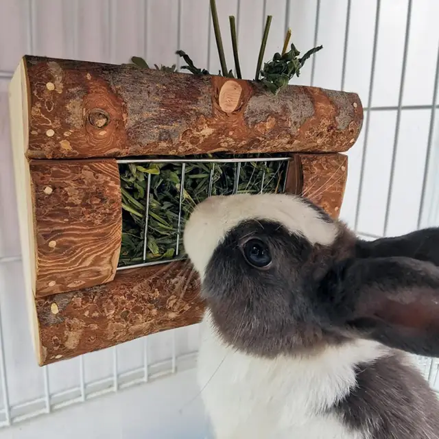 Mangiatoia ecologica per porta erba di coniglio in legno massello da  costruzione per tutti gli usi Bunny cavia Garden