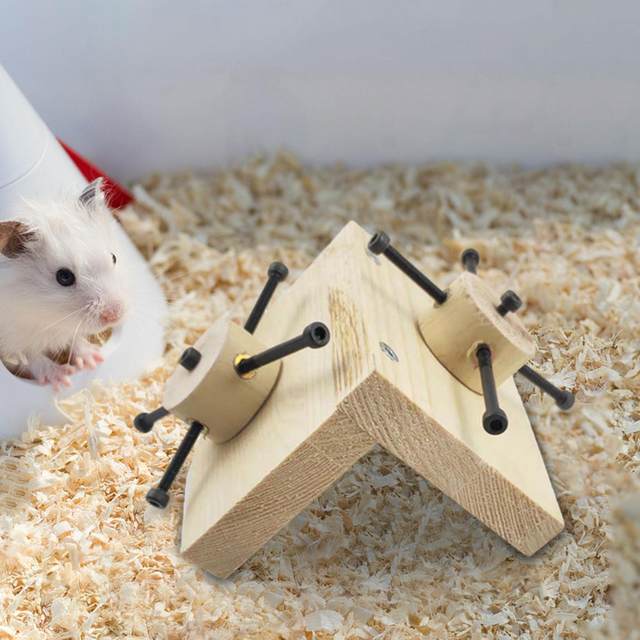 Wooden Foraging Toy Exercise Wheel Toy Mental Toy Interactive Treat Puzzle Game for Small Animals Hamsters Bunny AliExpress