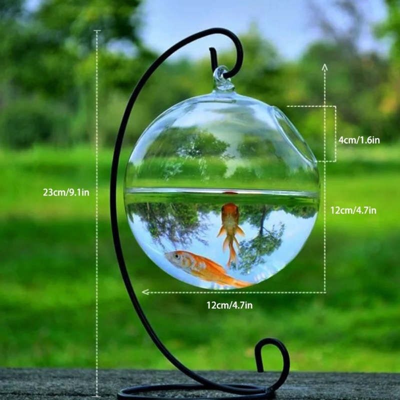 Title 6, Fish Bowl,Transparent Spherical Glass Handmade ...