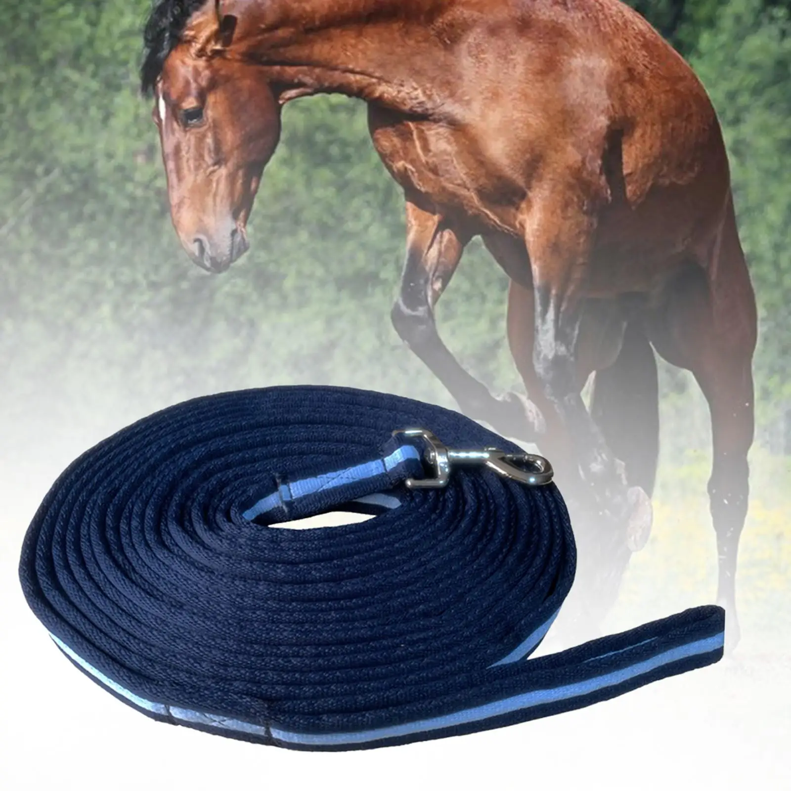 Horse Dog Training Leash 8 Meters Webbing Long Line Lunge Leads Durable Horse Rope Lead for Dog Horse Play Backyard