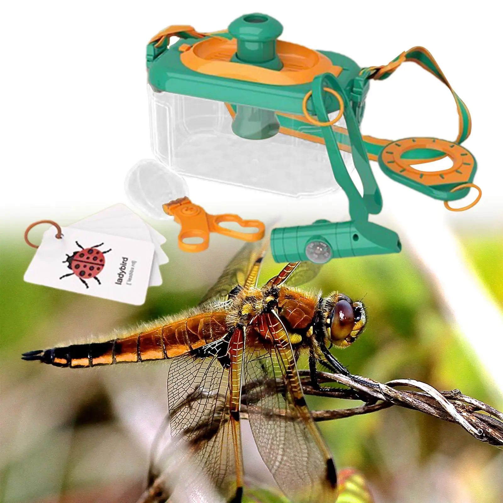 Portable Explorer Kit Educational Learning Toy Insect Observation Container Bugs Collection Kit for Kids Toddlers