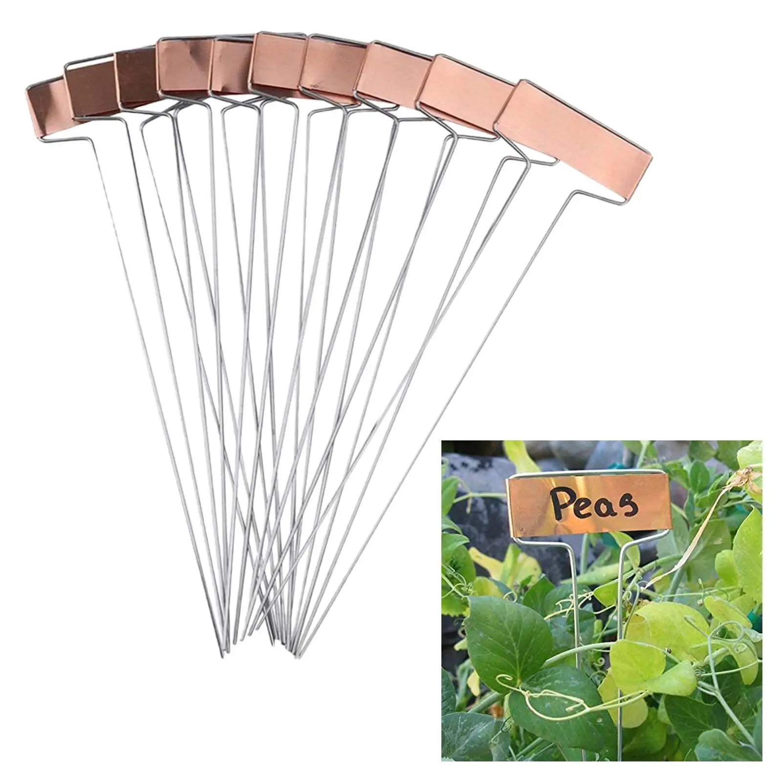 10 Pieces Plant Labels Plant Container Accessories Plant Tag Labels for Farm Outdoor Greenhouse Flowers Vegetables Seedlings