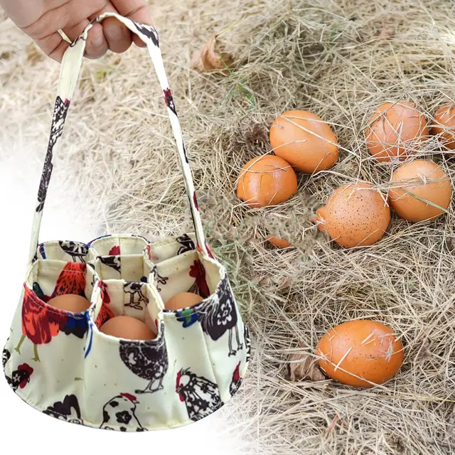 Egg Collecting Basket Vintage Style Collection Holder Container With  Cushion Farmhouse Chicken Accessories Kitchen Storage - AliExpress