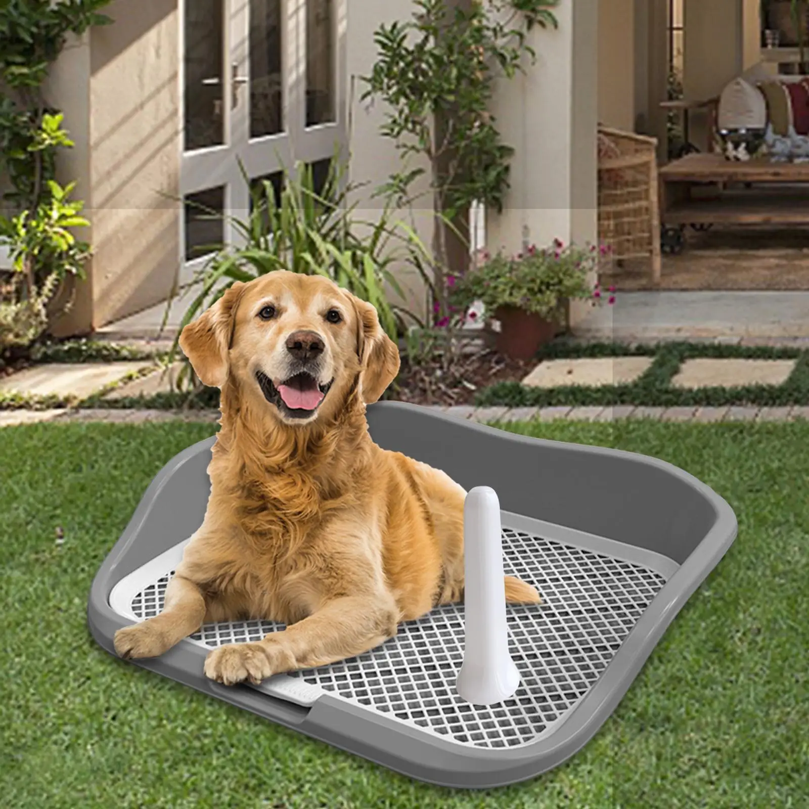 Durable Mesh Dog Toilet Litter Box Keep Floors Clean with Fence with Protection Wall for Pee Training Ferret Indoor Medium Dogs