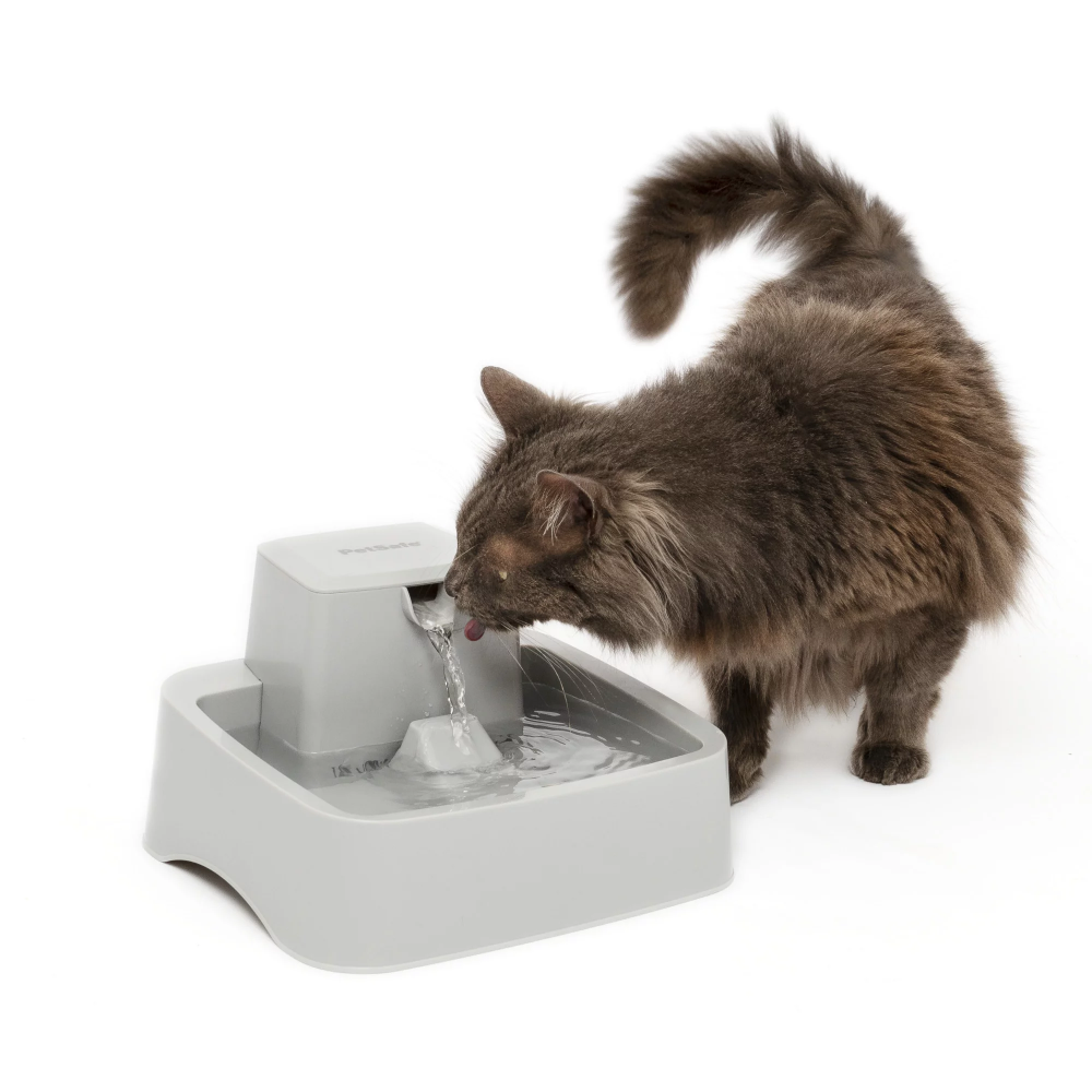 Drinkwell cat water fountain hotsell