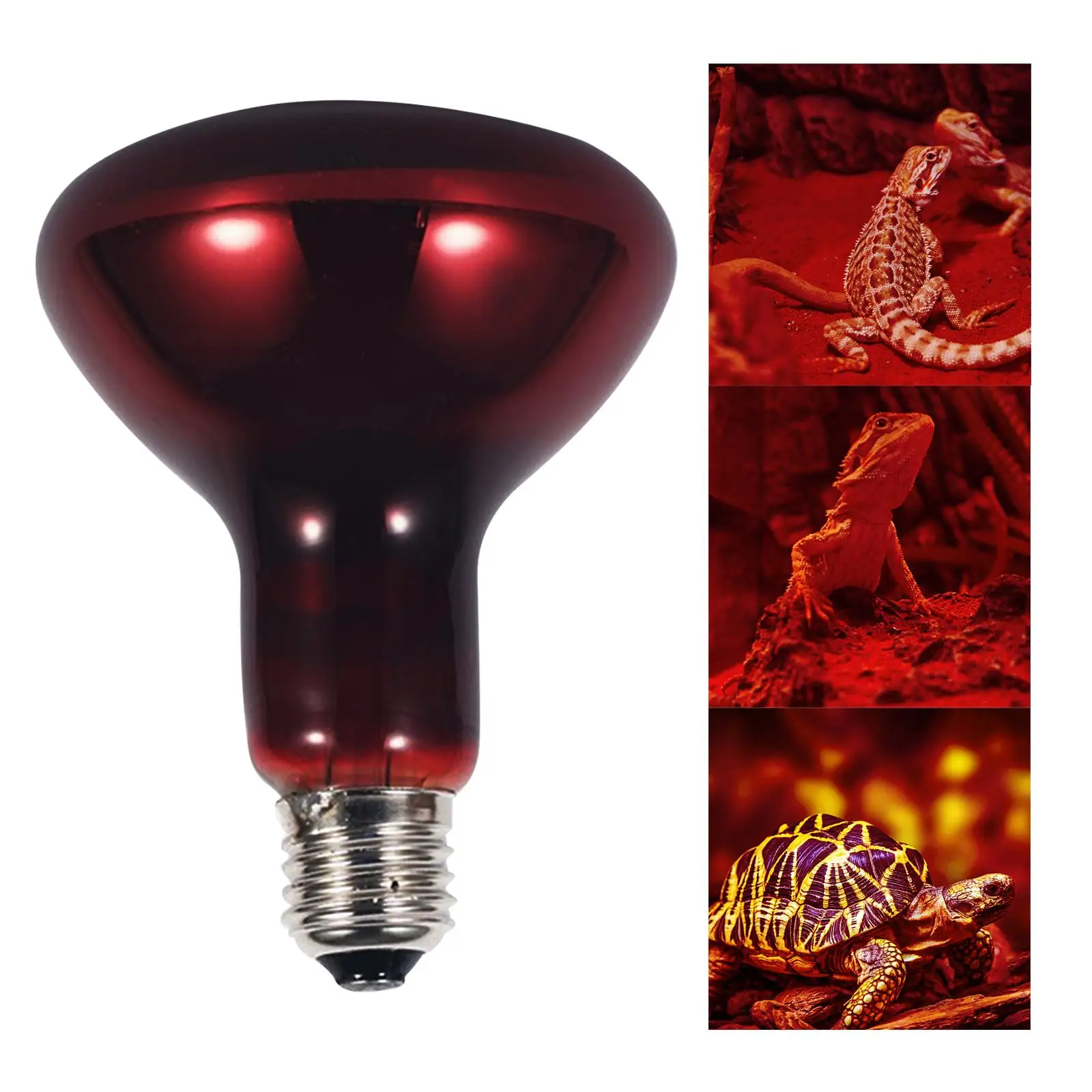 Red Reptile Light Bulb Pet Daylight 100W Infrared for Hedgehogs Amphibians