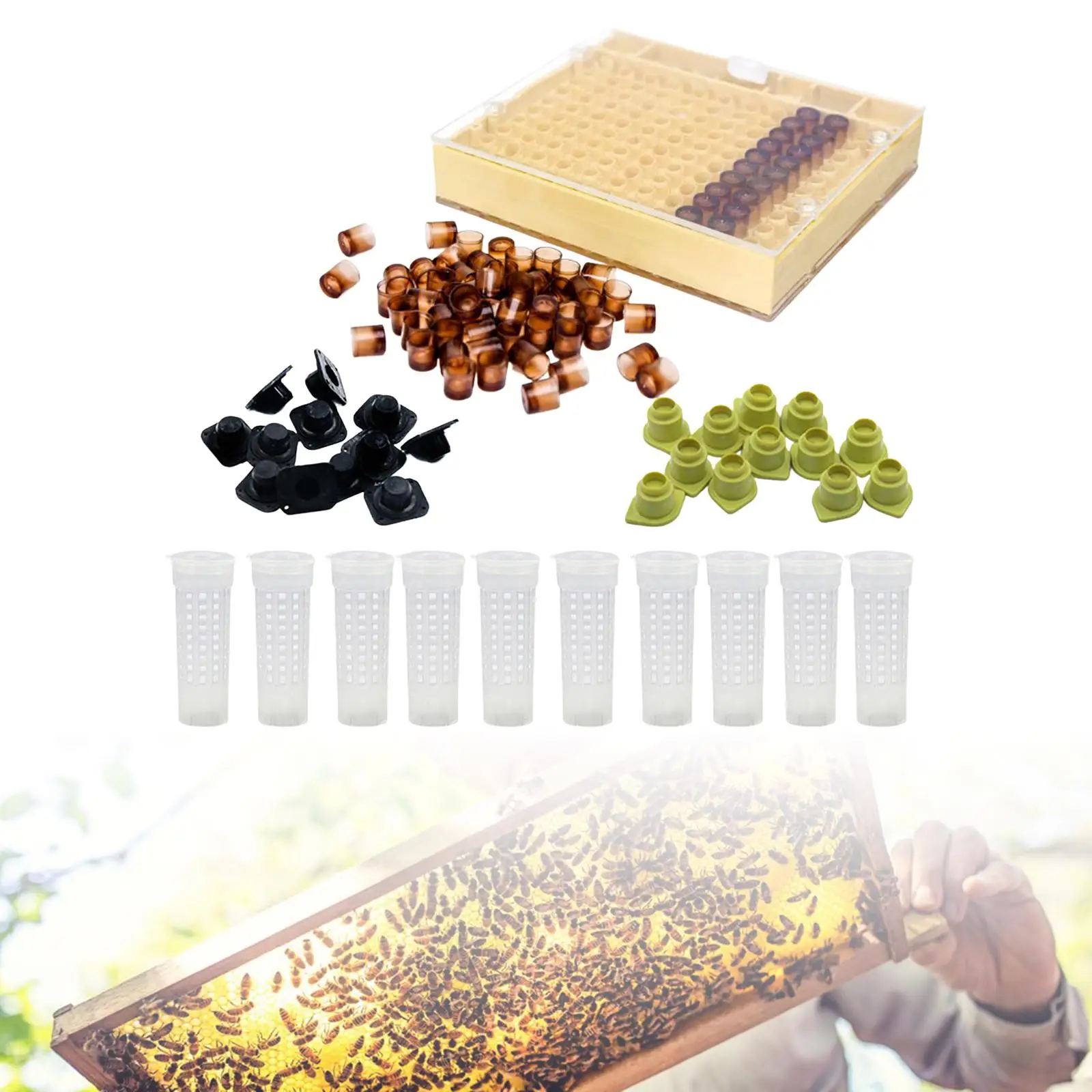 Beekeeping Complete Queen Rearing cup Kit Cultivating Box Accessories Equipment