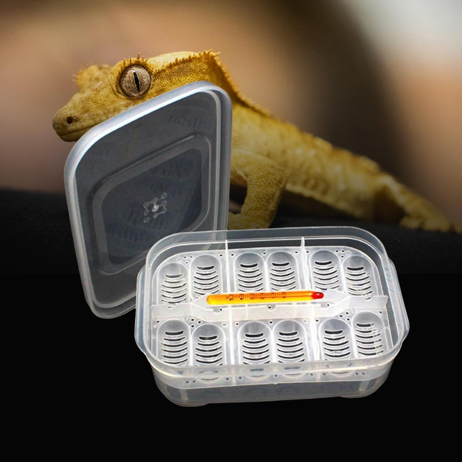 Reptile Incubator Tray Incubation Suspended Snake DIY Container 12 Egg Gecko