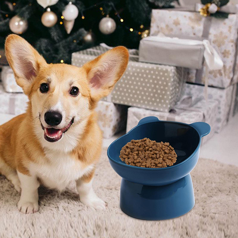 Title 3, Slanted Cat Bowls Raised Anti-vomiting Cat Feed...