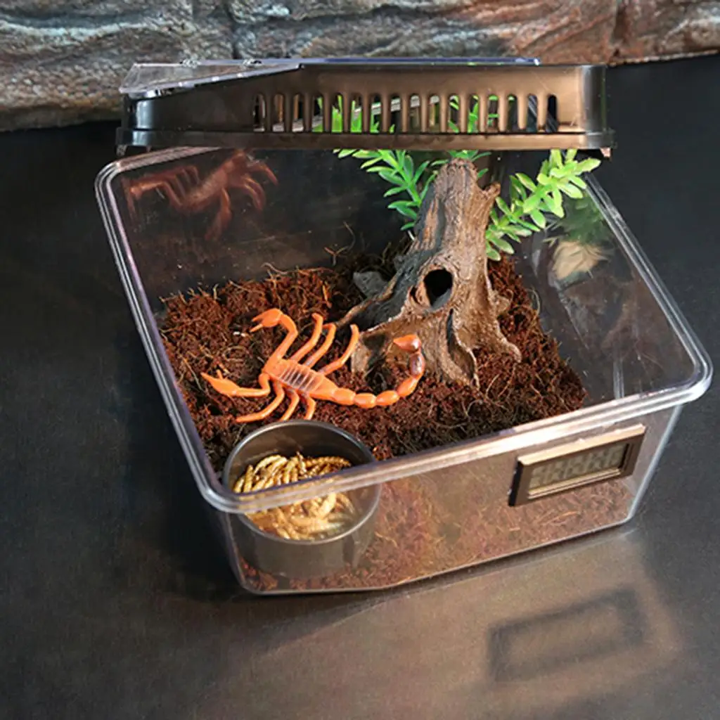 Reptile Lizard Spider Scorpion Turtle Terrarium Rearing Box with Cover 