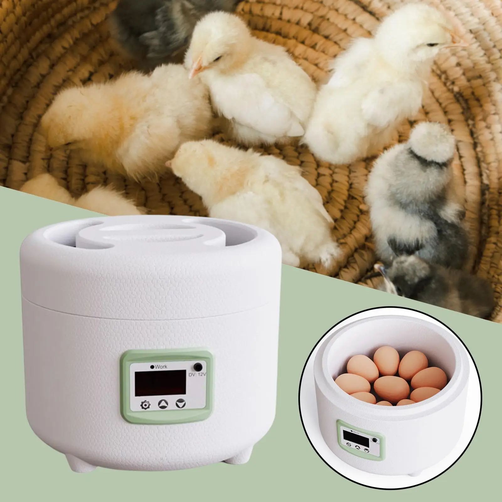 Digital Automatic Egg Incubator Dual Power Poultry Hatcher for Hatching Eggs