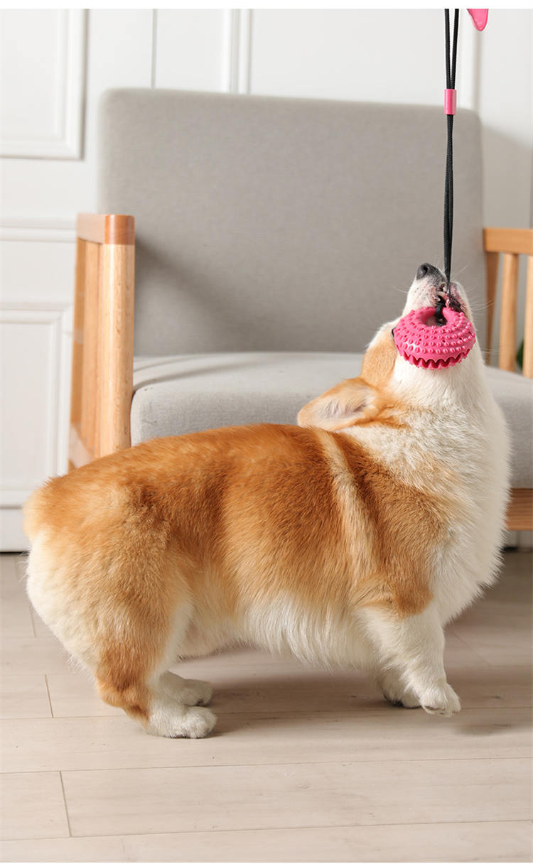 Dog Toys Silicon Suction Cup Tug Interactive Dog Ball Toy for Pet Chew Bite Tooth Cleaning Toothbrush Slow Food Pet Supplies