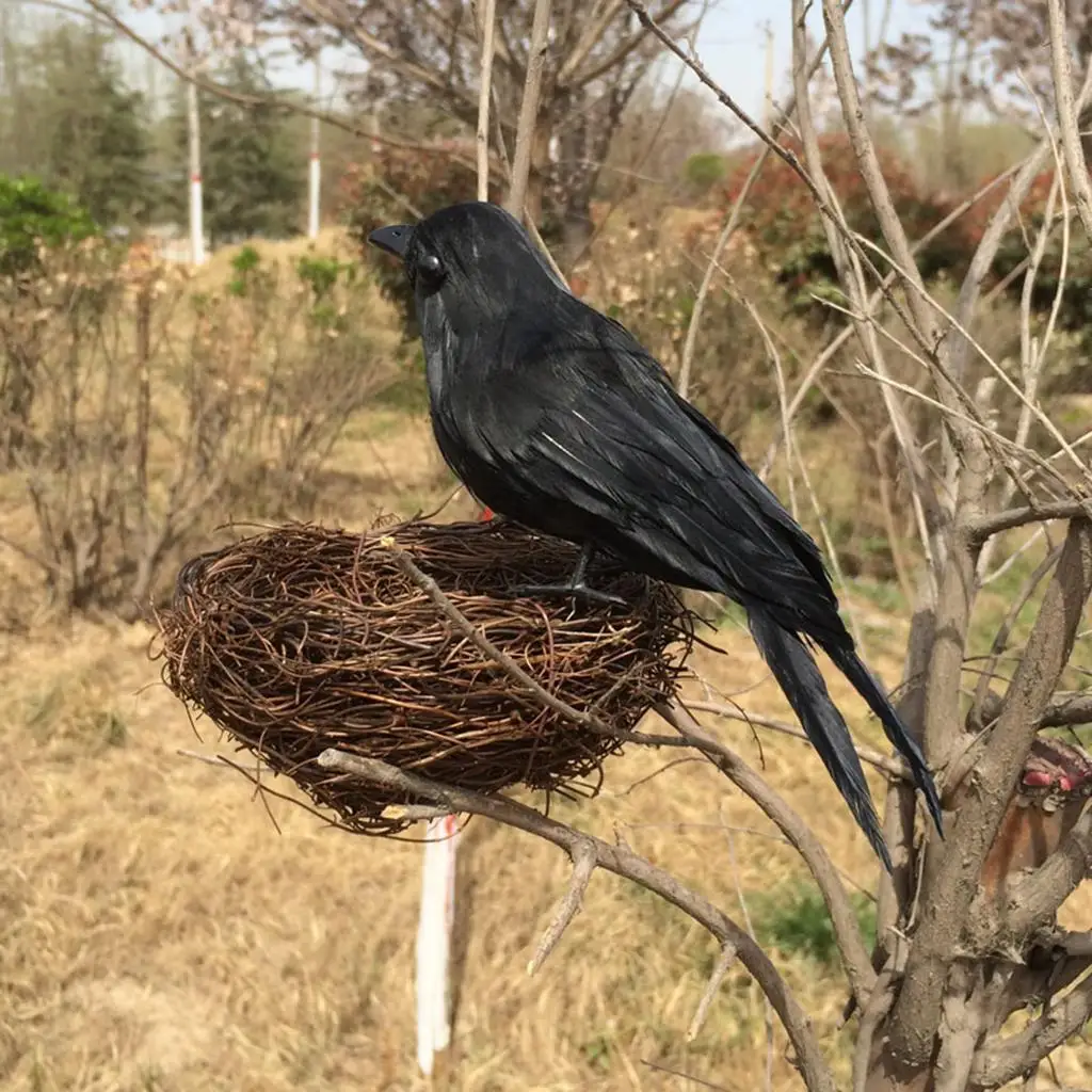 Lifelike Crow Sculpture Simulation Woodland Birds Statue Halloween Ornament