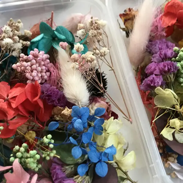 Colorati Fiori Secchi Naturali Per Artigianato Fatto A Mano Con Resina  Epossidica, Fai Da Te Bouquet, Ghirlanda, Confezione Fiori Per Decorazione  Candele Matrimonio A Casa