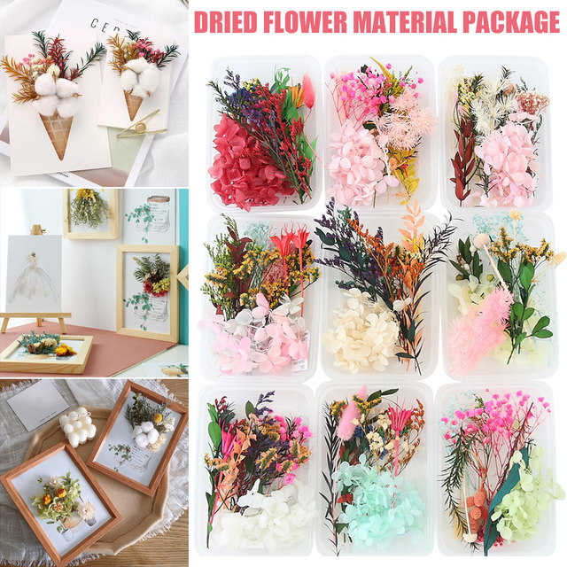 Real Pressed Dry Flowers Handmade Crafts Decor for Soap Making