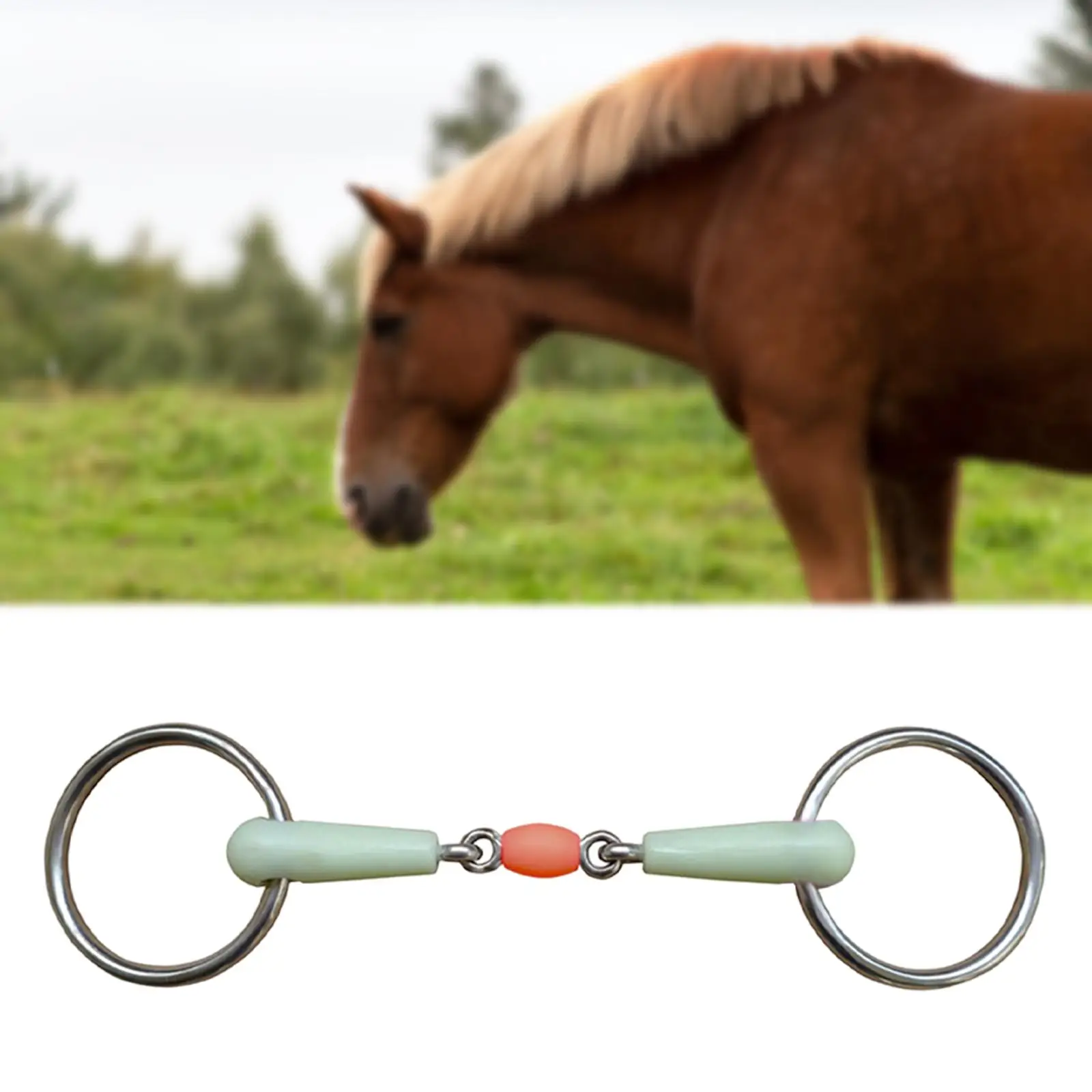 horse Mouth Bit Comfort Round Hollow Link Supplies Horse Bit Equine for Equipment Performance Equestrian Horse Chewing