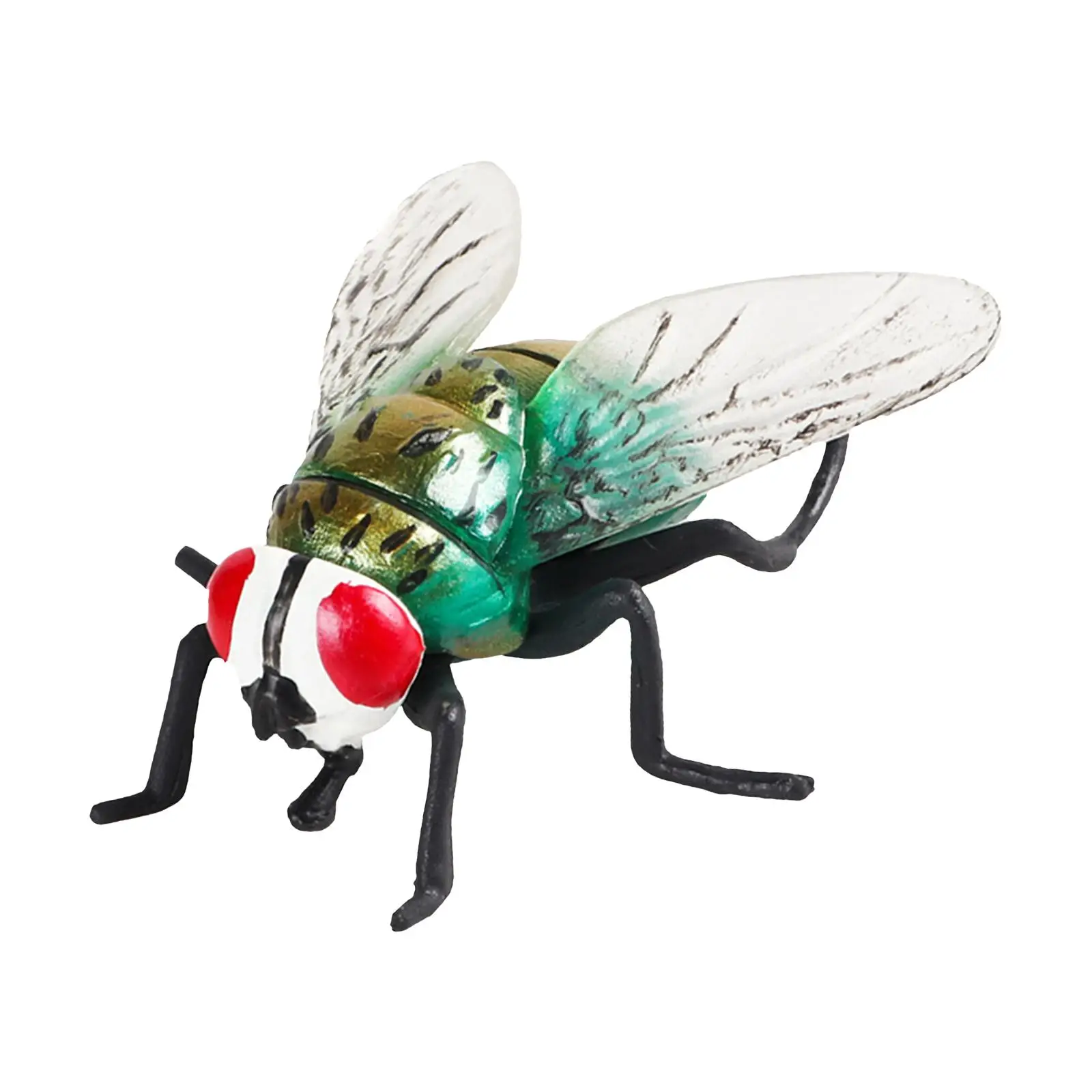 Realistic Fly Toys Cognition Educational Toy Flies Figures Photography Props Party Supplies Collection for Children Kids Girls