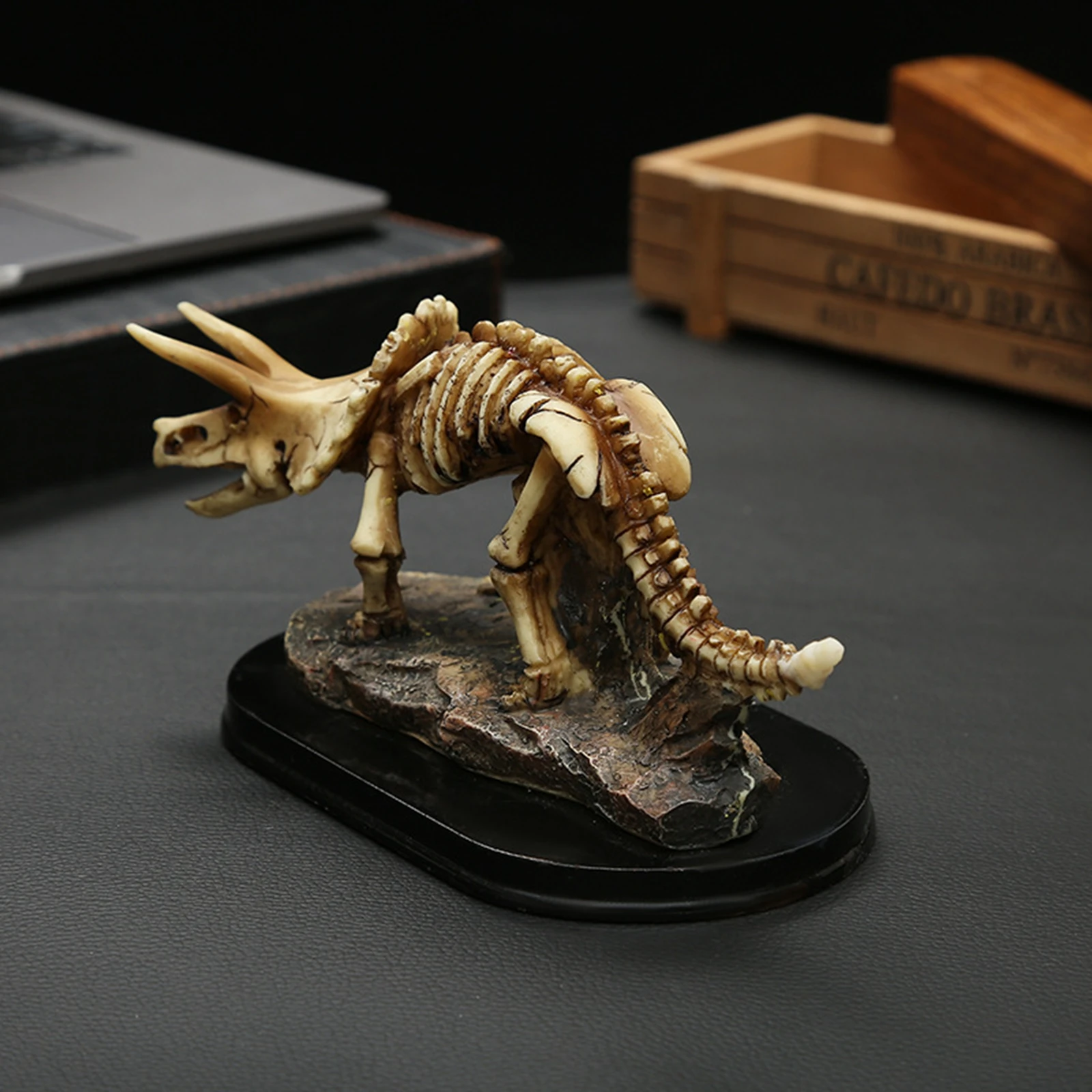 Dinosaur Skeleton Decoration Statue Toys for  Kids