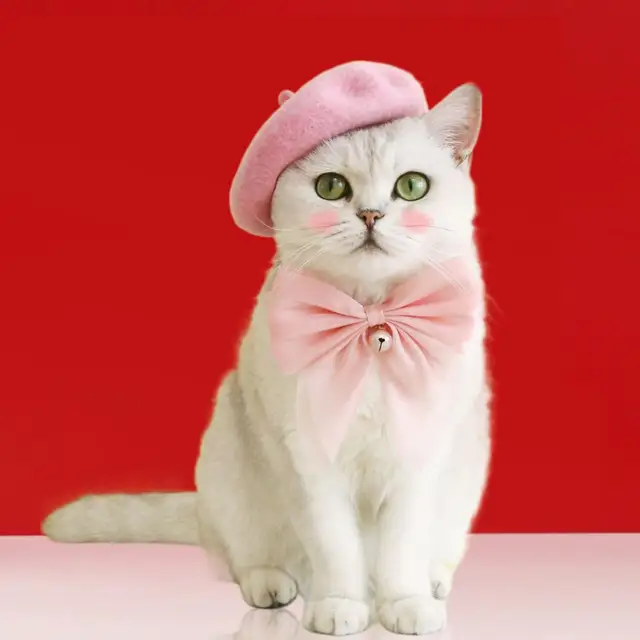 Red Baseball Cap for Your Cat Cat Hat 
