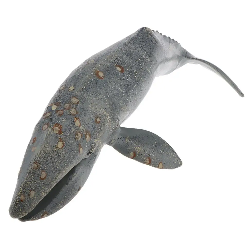  Sea Large Humpback  Animal Model Plastic Figure  Gifts