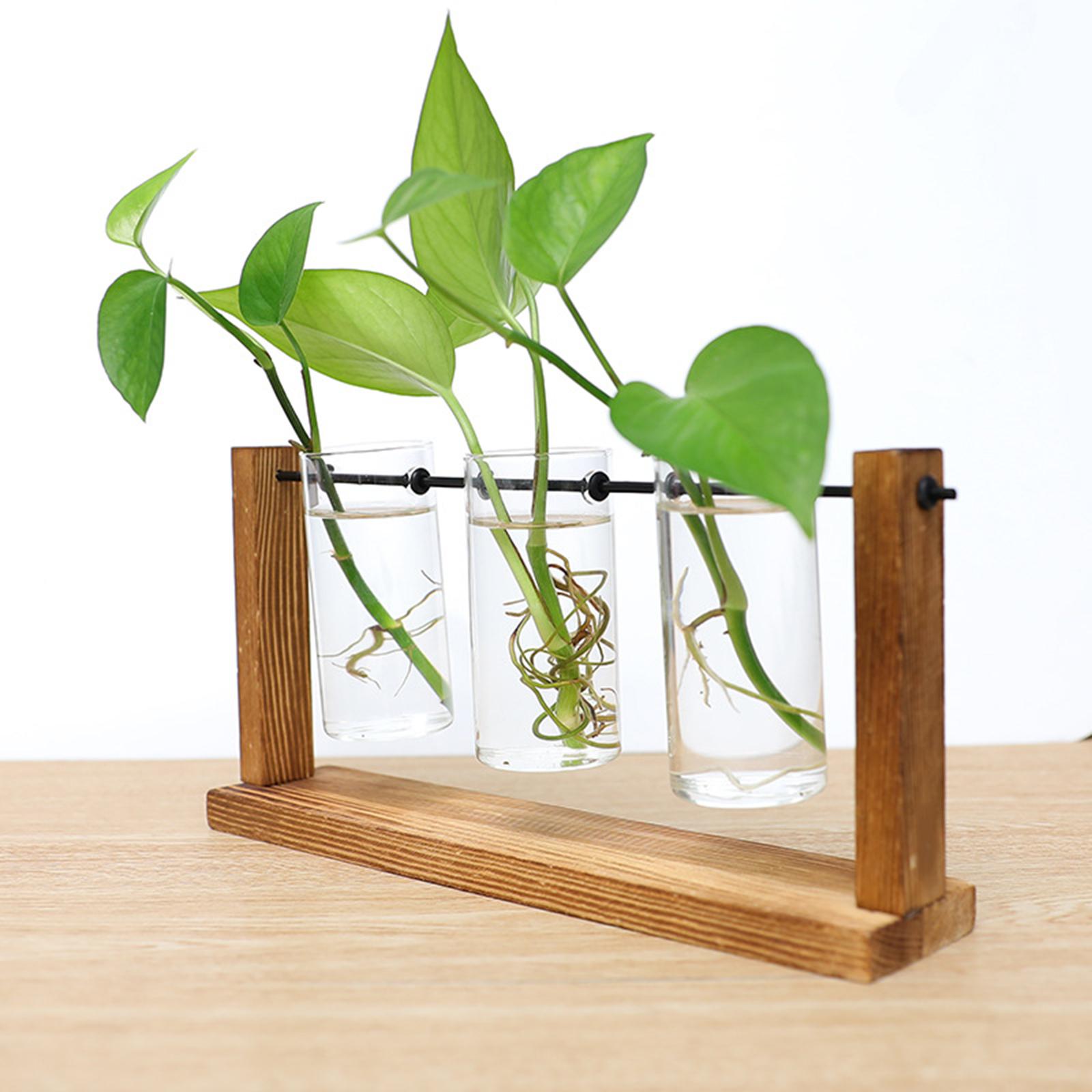 Glass Tube Vase Flower Pot Planter With Wooden Rack Container Terrarium  Holder For Desktop Home, Office Decoration - Vases - AliExpress