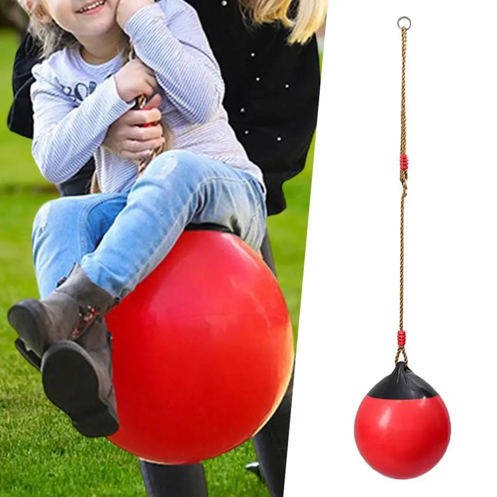 Ball Swing Seat with Heavy Duty Rope Hanging Multiple Colors for Kids