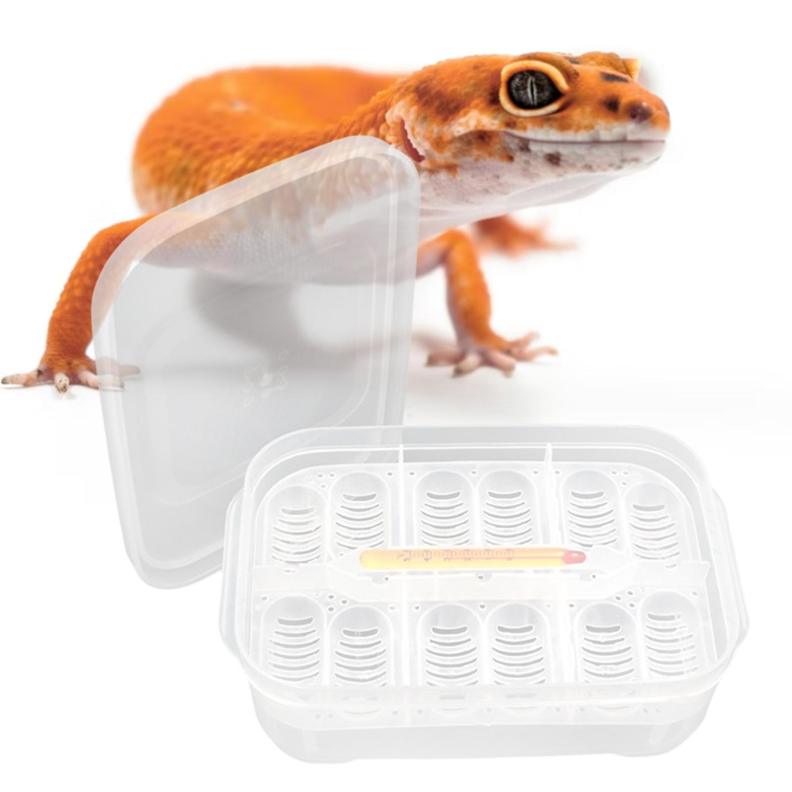 Reptile Incubator Tray Incubation Suspended Snake DIY Container 12 Egg Gecko