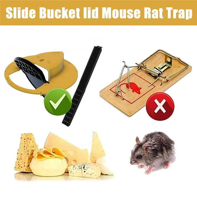 Flip N Slide Magic Mouse Trap – Epix