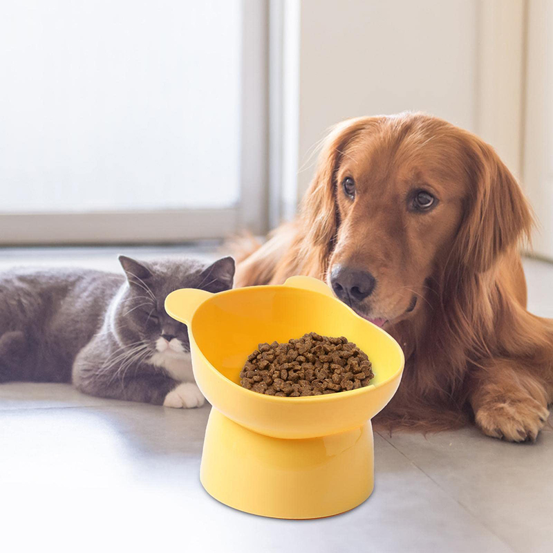 Title 6, Slanted Cat Bowls Raised Anti-vomiting Cat Feed...