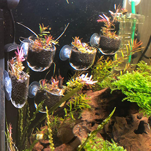 Bio-Schwamm filter für Aquarium Aquarium Garnelen teich Luftpumpe biochemische Filtration geräuschlos Schaum Aquarium Zubehör neu – Detail 6