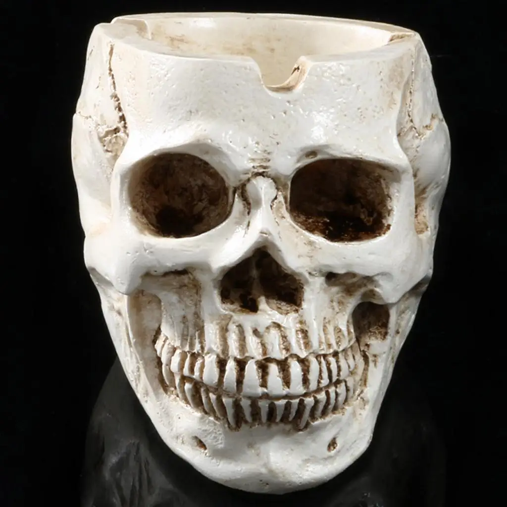 Human Skull Head Container Home Bar Decor -White