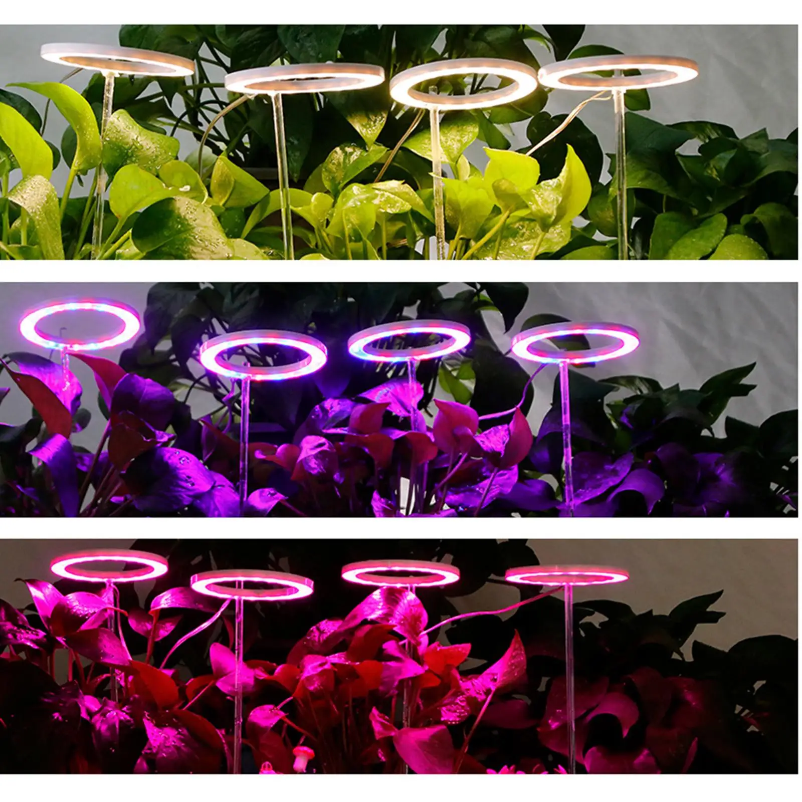 LED Grow Light 4 Lights Auto On Off Timing 8 12 16Hrs Plant Growing Lamp for Indoor