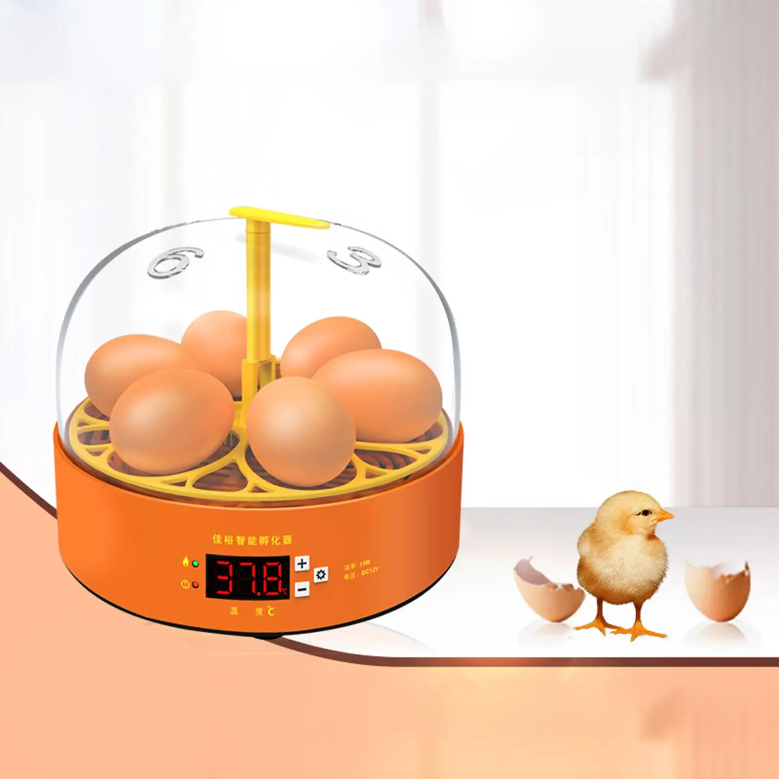 6 Eggs High Hatching Rate Equipment Fully Automatic Incubator Automatic Hatchery Brooder Chicken Incubator Quail Brooder