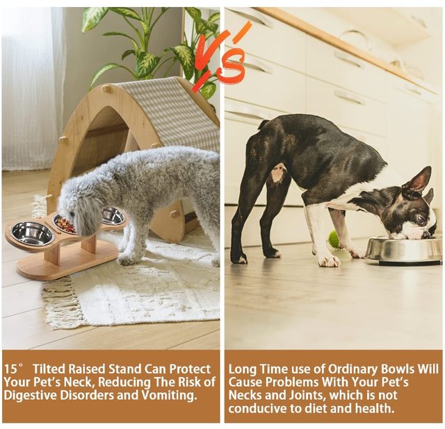 Ciotola In Ceramica Per Gatti Rialzata - Anti-Baffi, Lavabile In Lavastoviglie - Foto 5