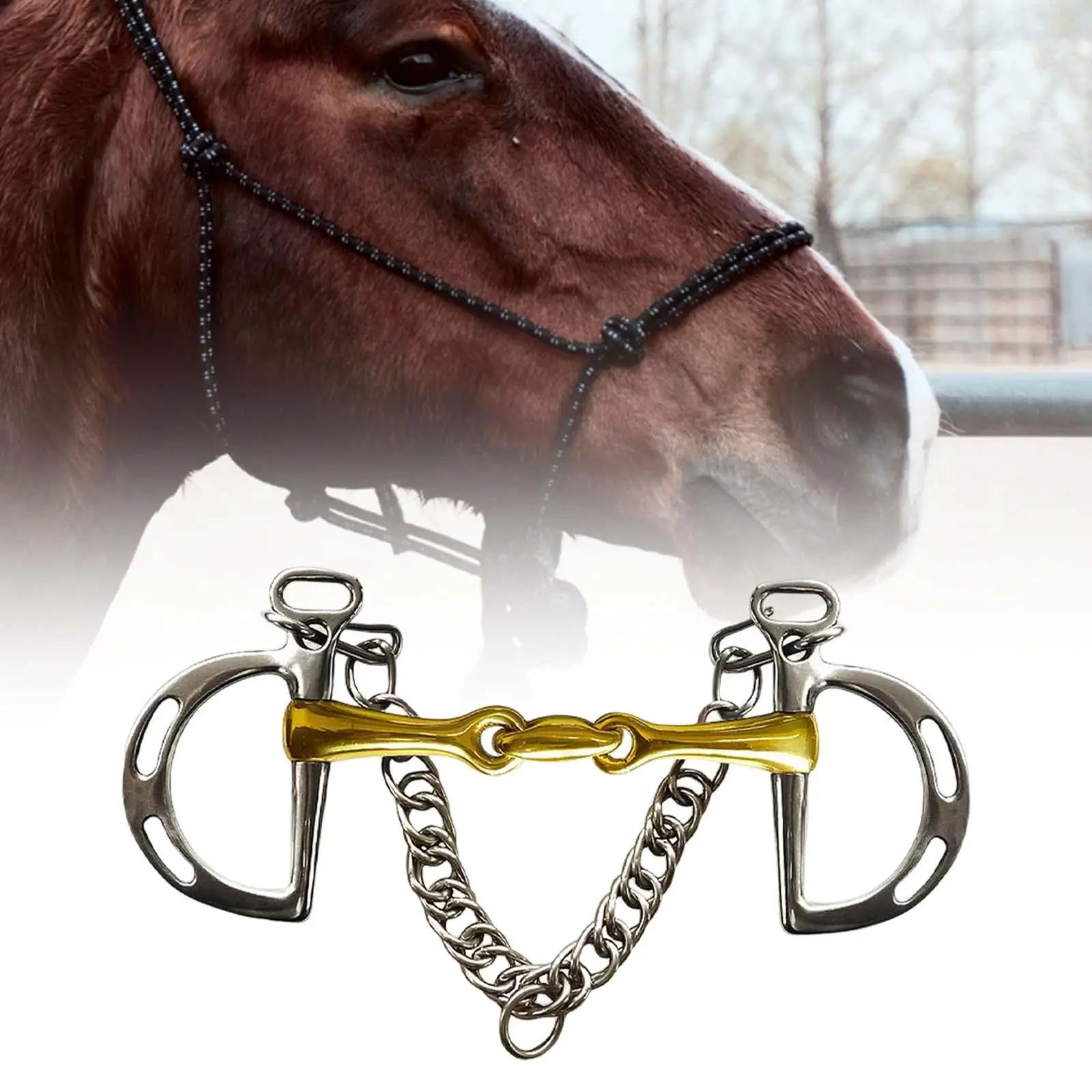 Horse Bit Copper Mouth Harness W/Curb Hooks Chain Stainless Steel Center Roller with Silver Trims for Equestrian Horse Bridle
