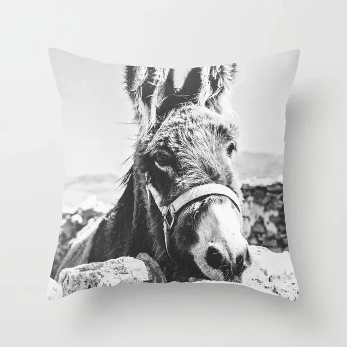 donkey-spain-pillows.webp