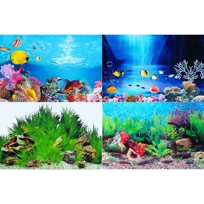 Title 20, Sfondo per acquario Decorazioni marine 3D Adesi...