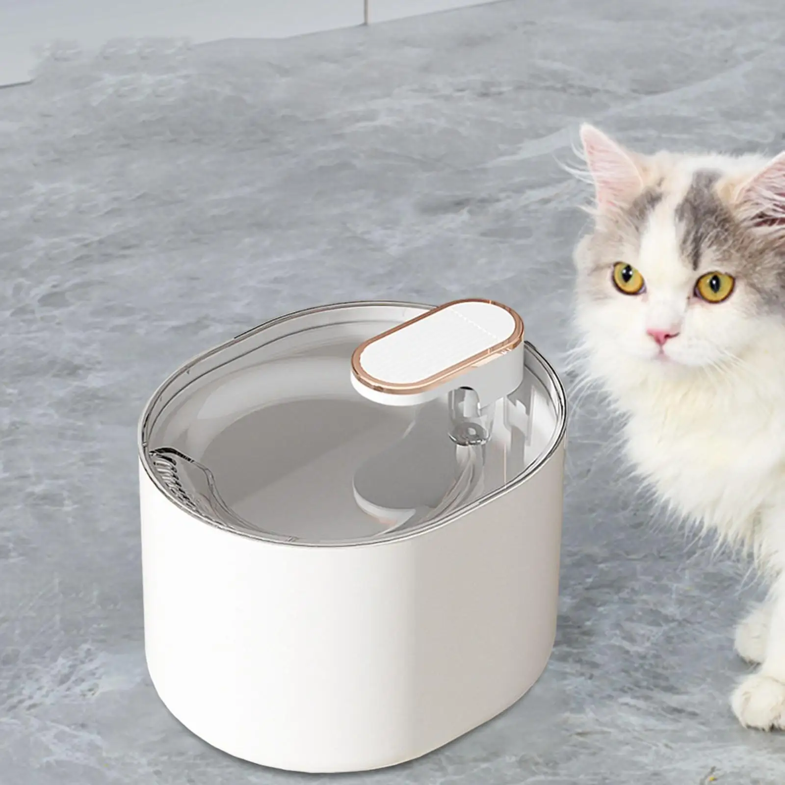 Cat Water Fountain Dog Drinking Bowl Dish Home Automatic Water Pet Dispenser