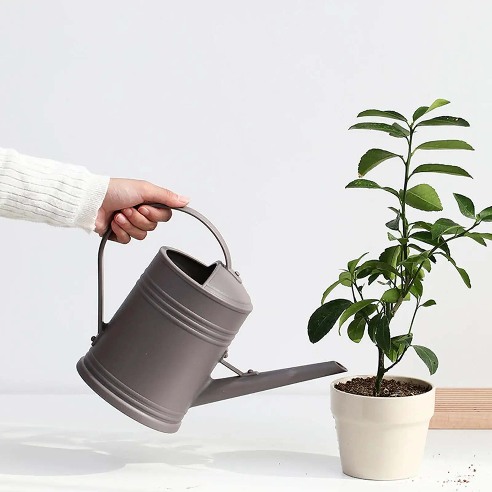 2L Watering Can with Detachable Shower Spray Head, for Indoor Gardening